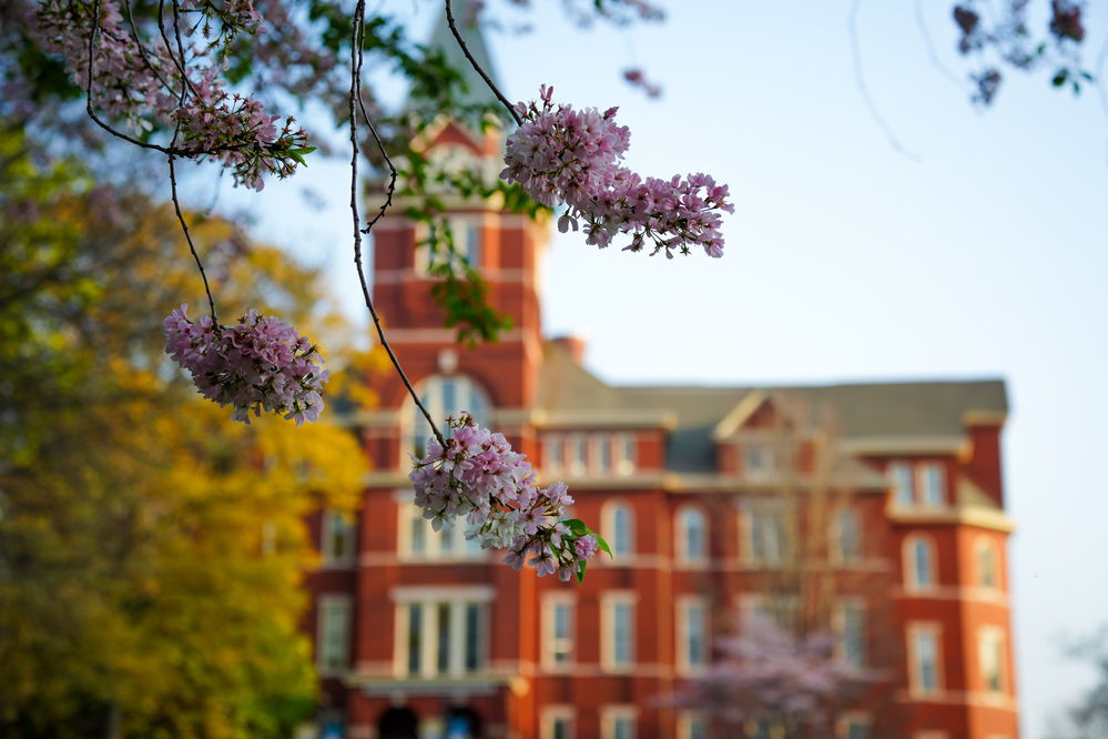 Flowers in front of Georgia Tech's Tech Tower
