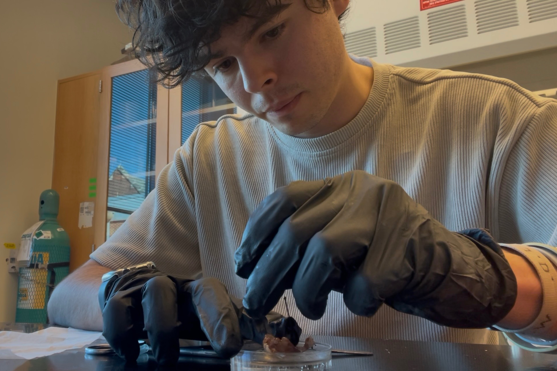 Luis Delgado wearing protective gloves in a lab