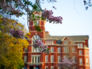DSC00118-Web-Use---1-000px-Wide--1-.jpg Flowers in front of Georgia Tech's Tech Tower