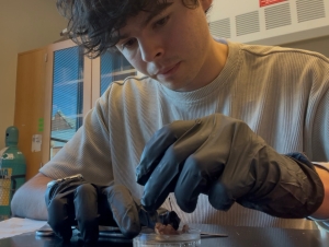 Luis Delgado Luis Delgado wearing protective gloves in a lab