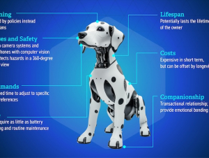 A graphic depicts design considerations for the prototype.
